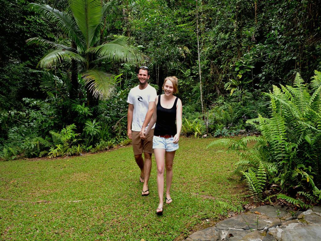 Daintree Deep Forest Lodge Кейп-Трибьюлейшн Экстерьер фото